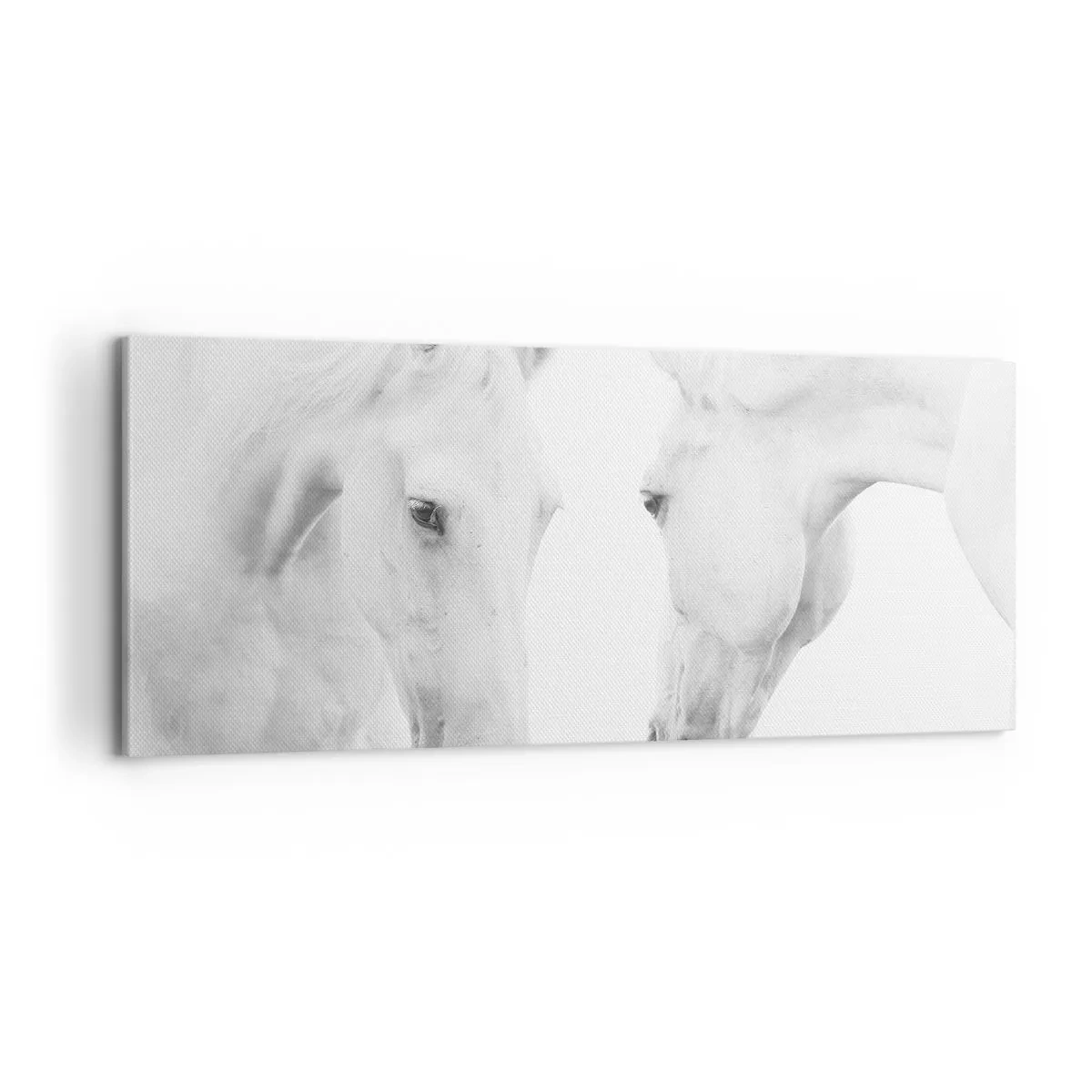 Lærredstryk - Billede på lærred - Er dette venskab...? - 100x40 cm