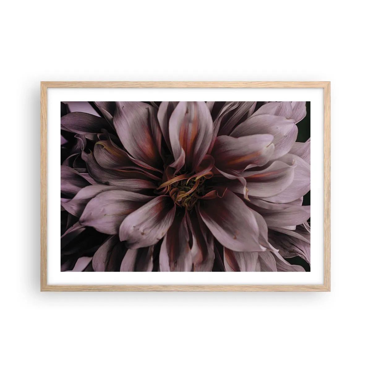 Plakat i ramme af lyst egetræ - Blomstret hjerte - 70x50 cm