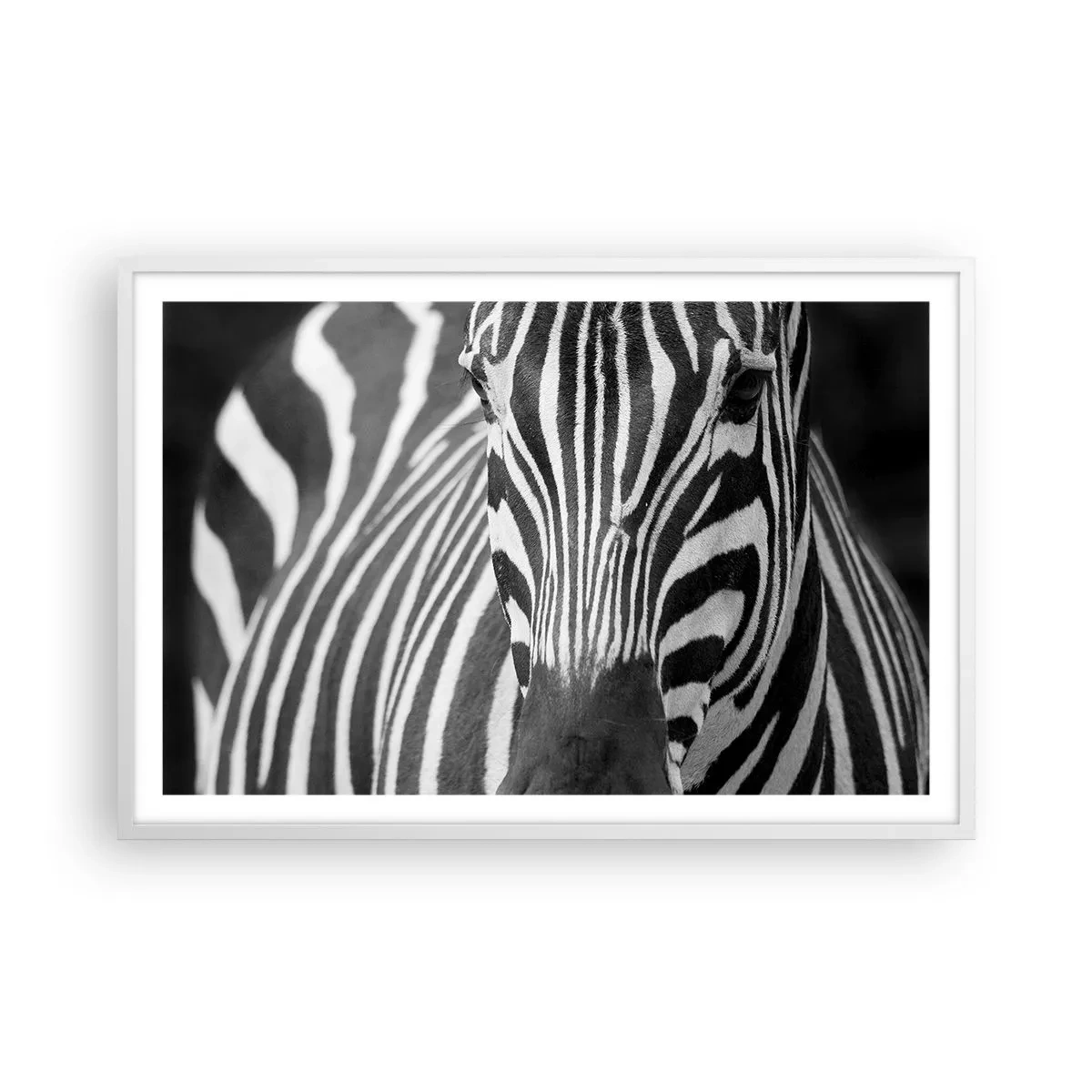 Plakat i hvid ramme - Verden er sort og hvid - 91x61 cm