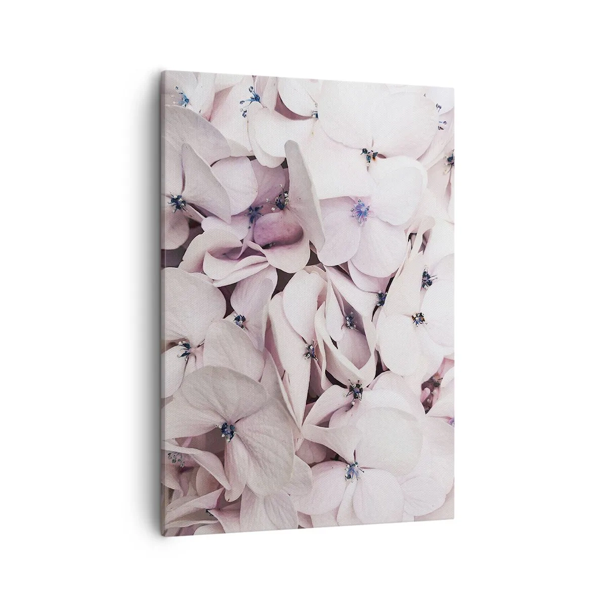 Lærredstryk - Billede på lærred - I en flod af blomster - 50x70 cm