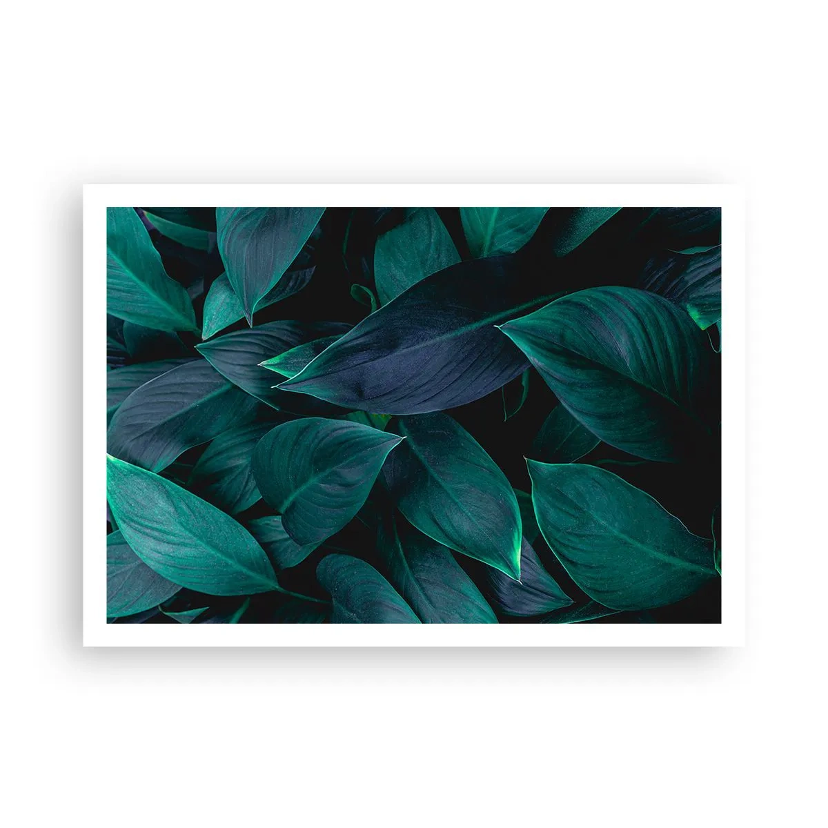 Plakat - Grønt i sig selv - 100x70 cm