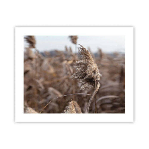 Plakat - Tid til at flyve væk med vinden - 50x40 cm