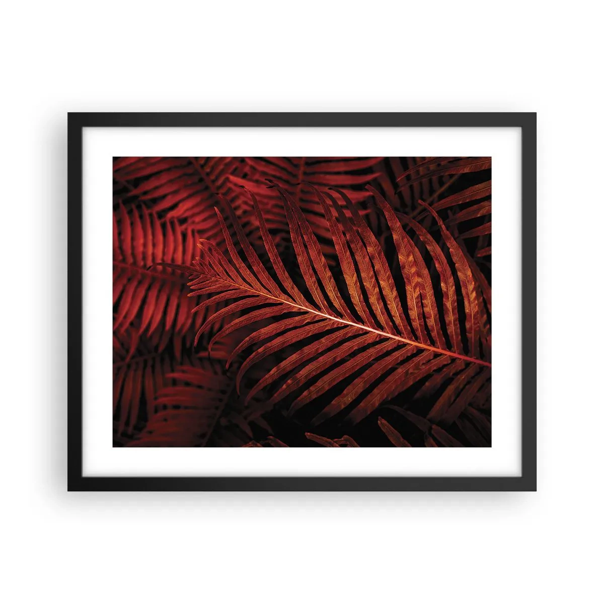 Plakat i sort ramme - Livets varme - 50x40 cm