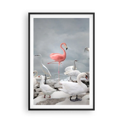 Plakat i sort ramme - Hvor kommer jeg fra? - 61x91 cm