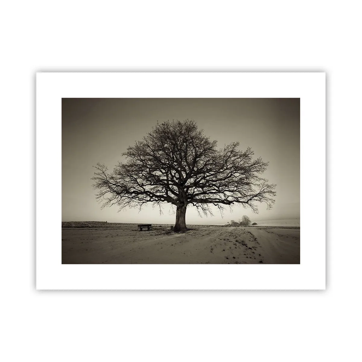 Plakat - Herfra og til evigheden - 40x30 cm