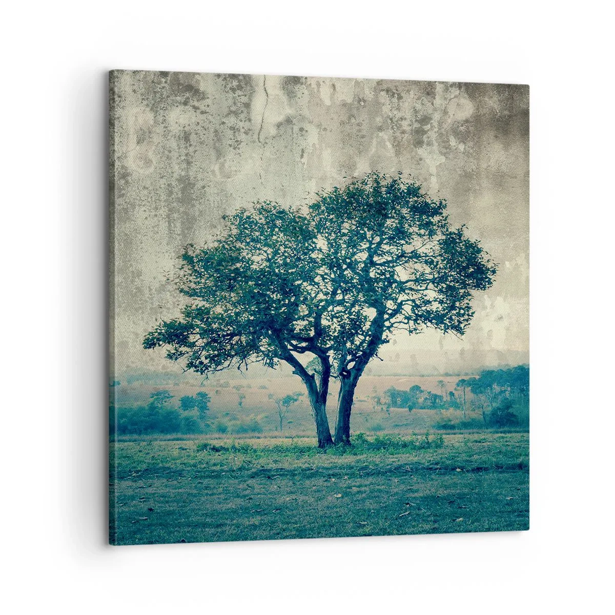 Lærredstryk - Billede på lærred - Et æbletræ på en blå membran? - 60x60 cm