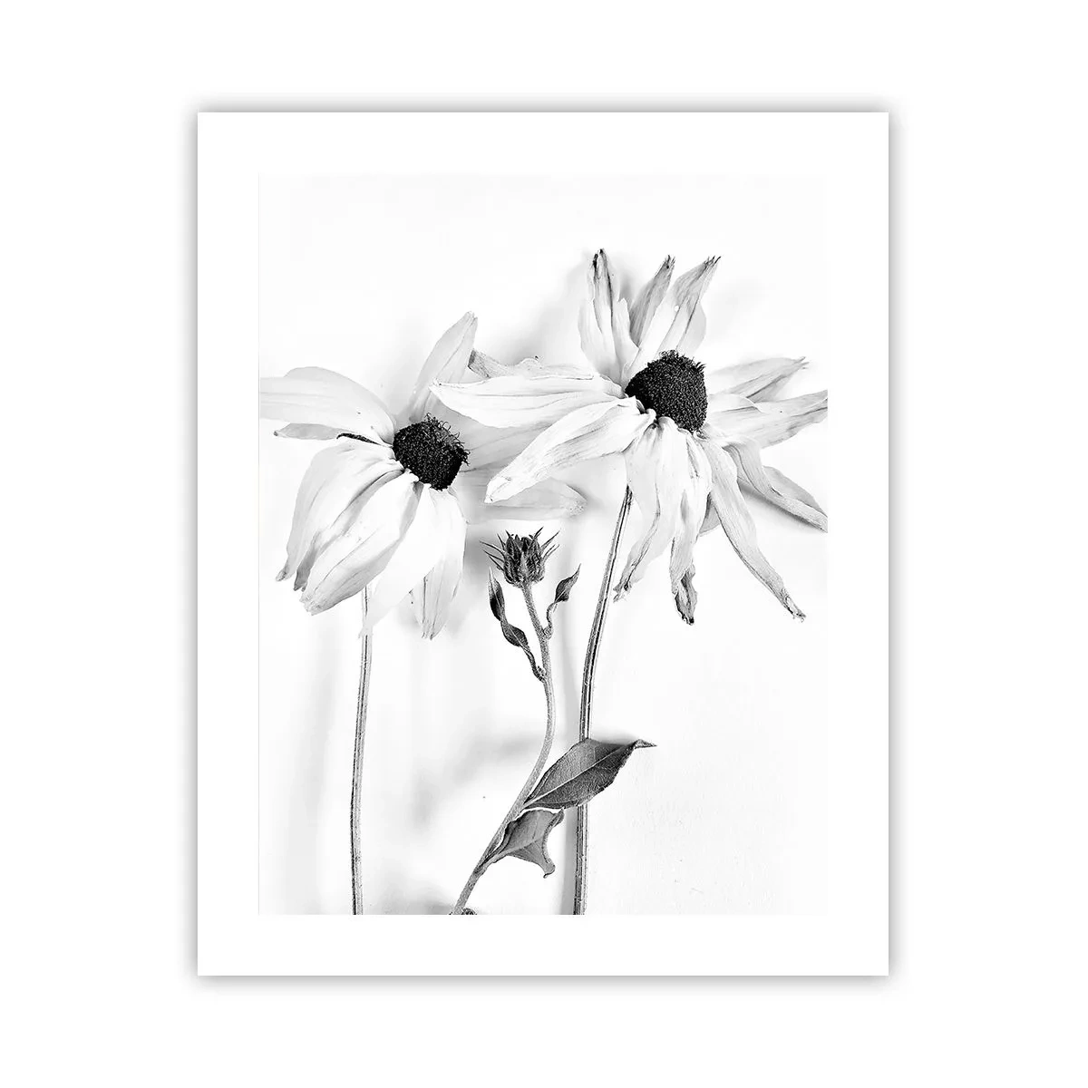 Plakat - Ingen ønsker at være alene - 40x50 cm