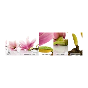 Prøve Fototapet Selvklæbende Deluxe Sticker - Blød som et åndedrag af forår - Blomst, Magnolia, Natur - 100x30 cm