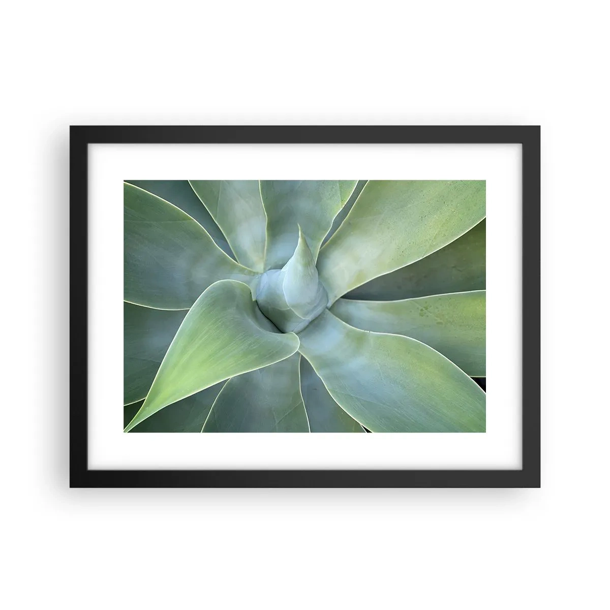 Plakat i sort ramme - Den grønne fødsel - 40x30 cm