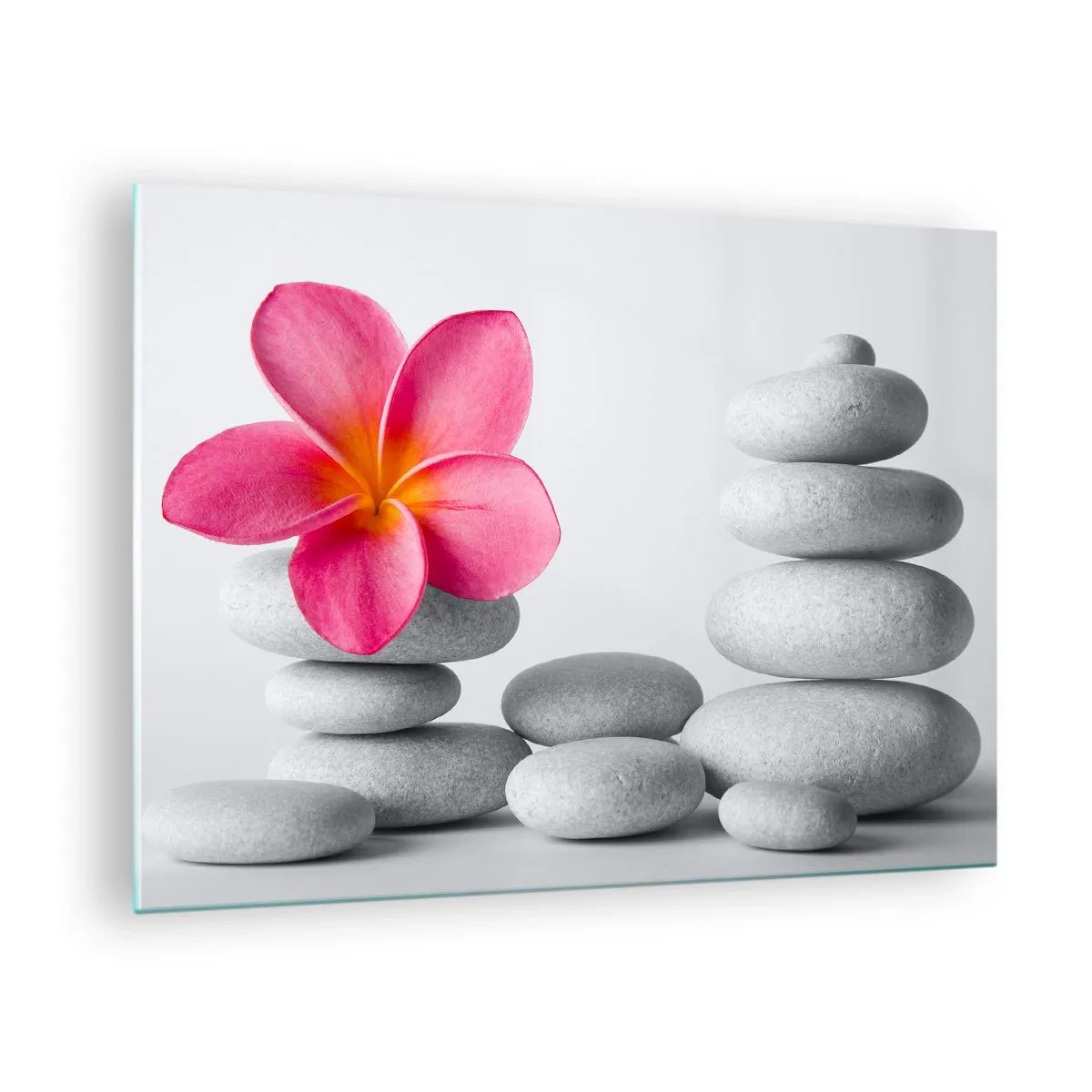 Billede på glas - En lyserød blomst mod en bunke hvide sten - 70x50cm - Sten på sten, og på denne sten... - Moderne vægdekoration til stue og soveværelse ARTTOR