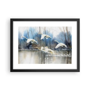 Plakat i sort ramme - Som i en fortælling om vilde svaner - 40x30 cm