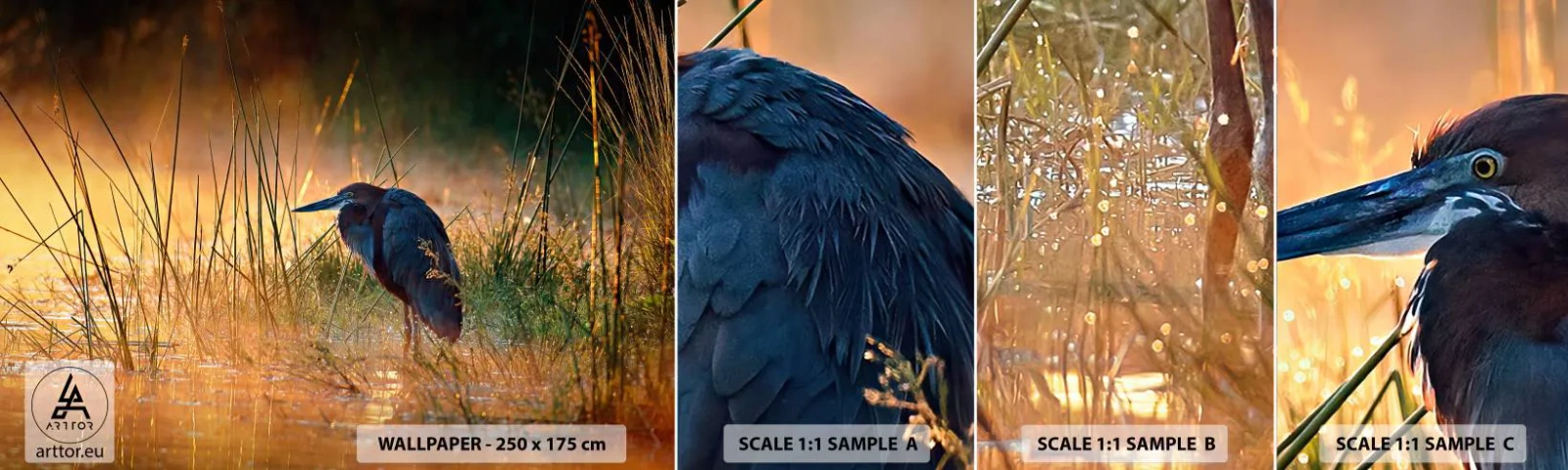 Prøve Fototapet Selvklæbende Deluxe Sticker - Giv mig en chance med disse billeder - Hejre, Fugl, Natur - 100x30 cm