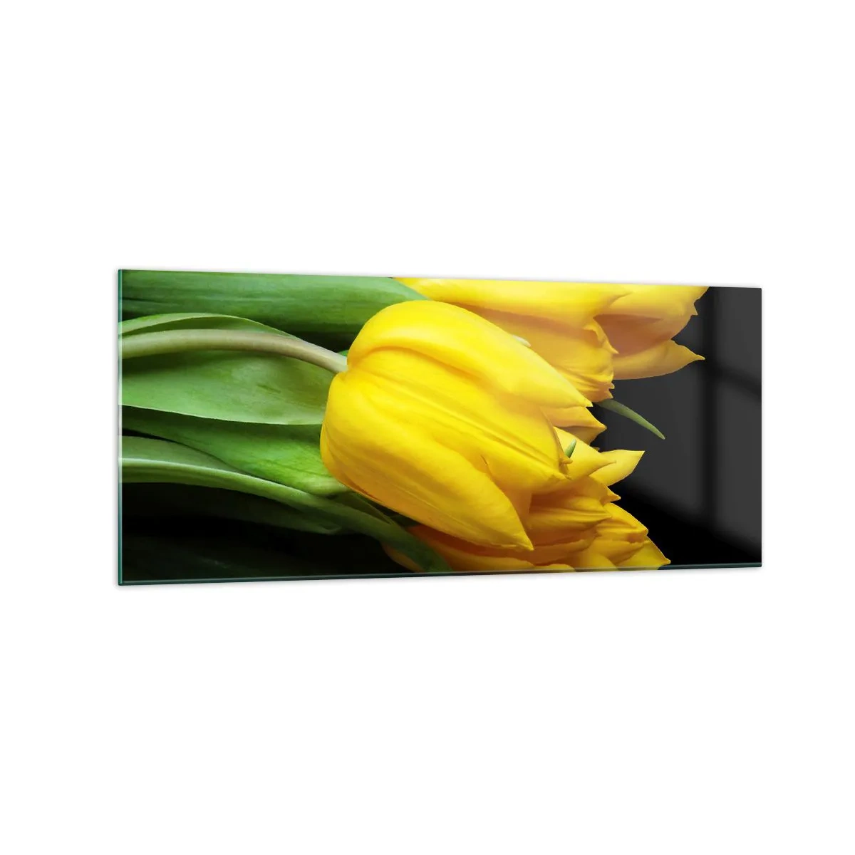 Billede på glas - Opstå fra den rene sol - 120x50 cm