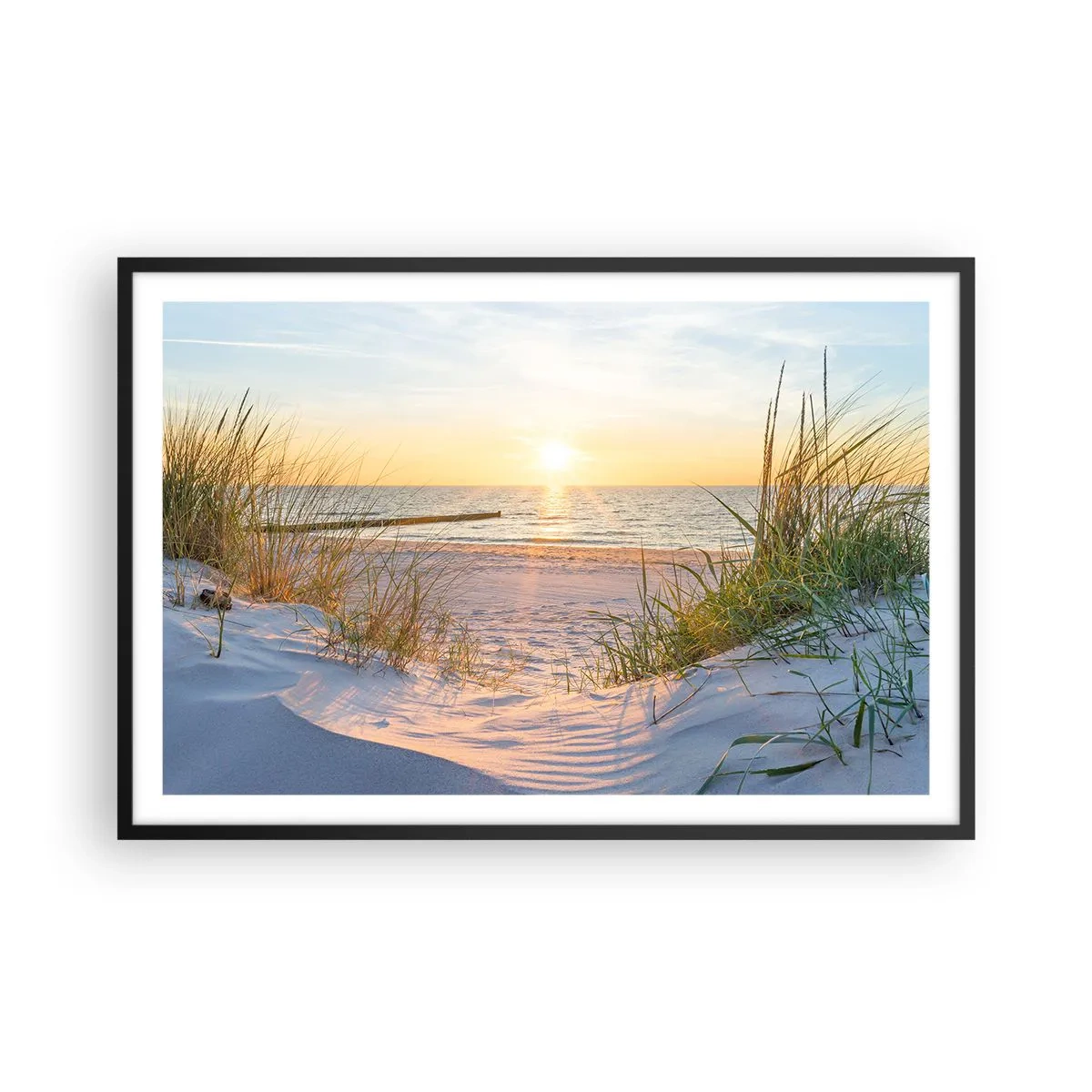 Plakat i sort ramme - Havet brummer, fuglene synger, en vild strand midt i græsset.... - 91x61 cm