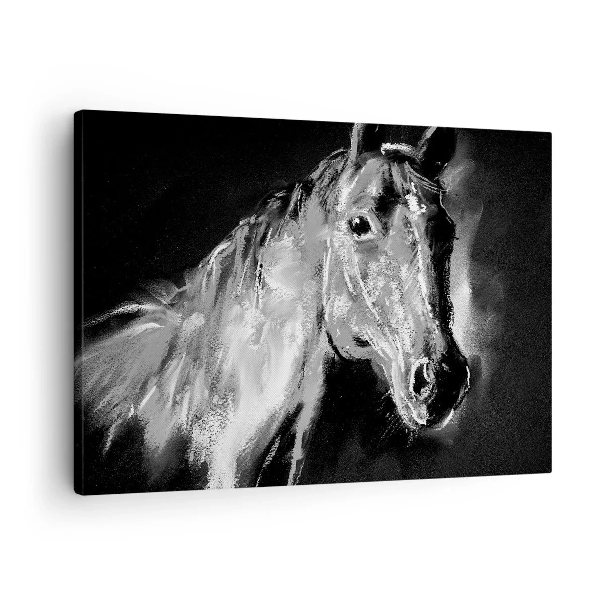Lærredstryk - Billede på lærred - Portræt af en hest i dynamisk sort-hvid stil - 70x50cm - Skinnende en ædel sjæl - Moderne vægdekoration til stue og soveværelse ARTTOR