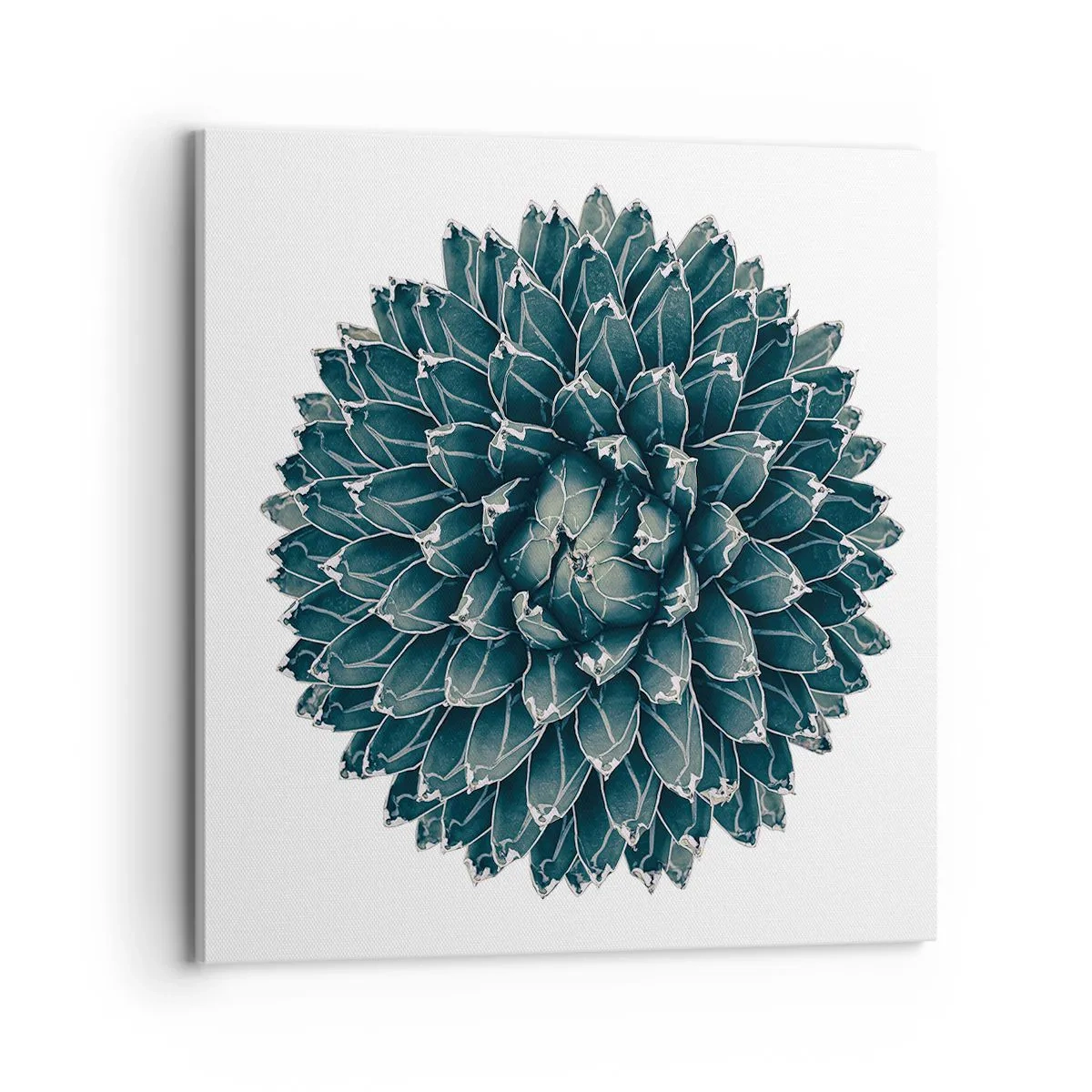 Lærredstryk - Billede på lærred - Ørkenstjerne - 70x70 cm