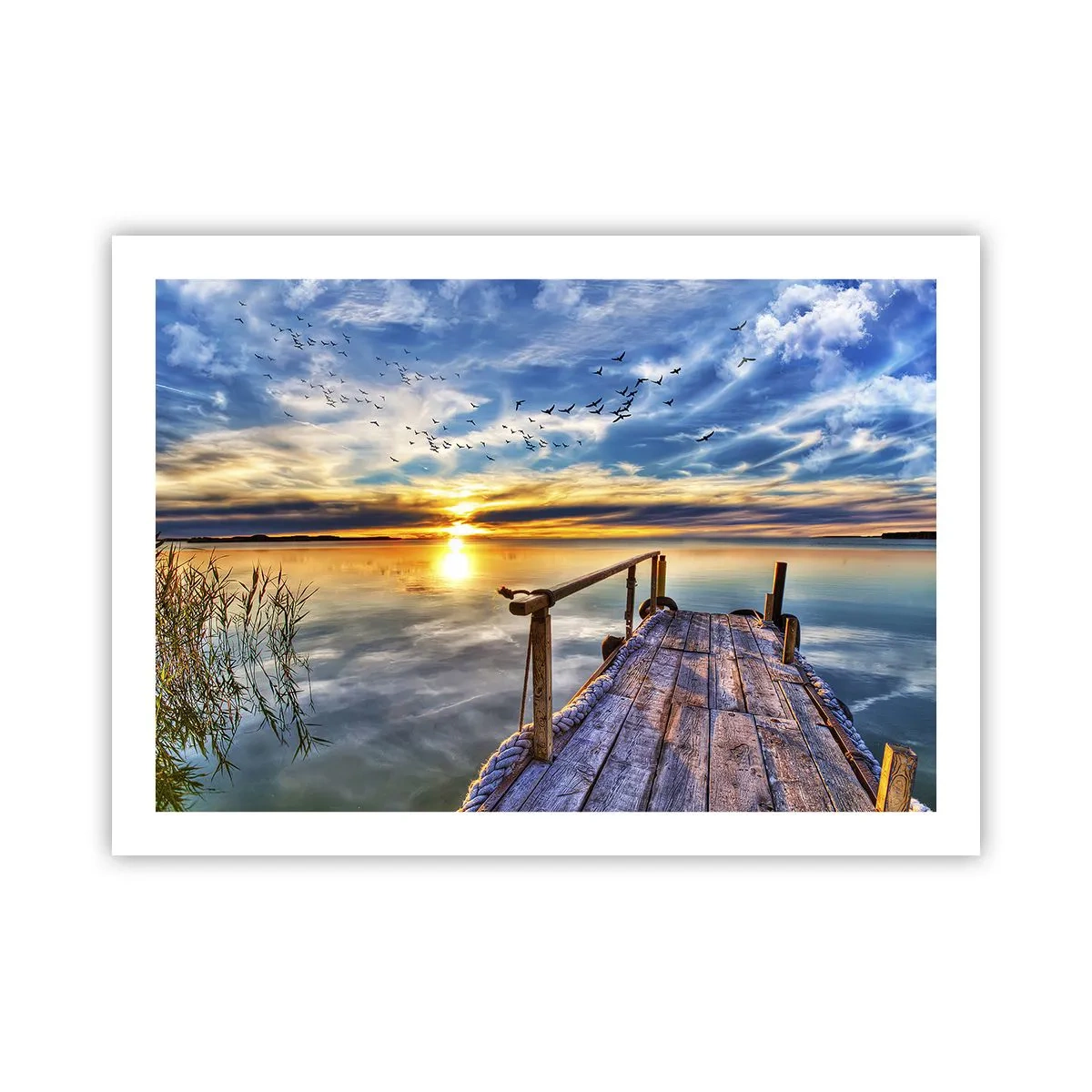 Plakat - Vinden går til ro - 70x50 cm