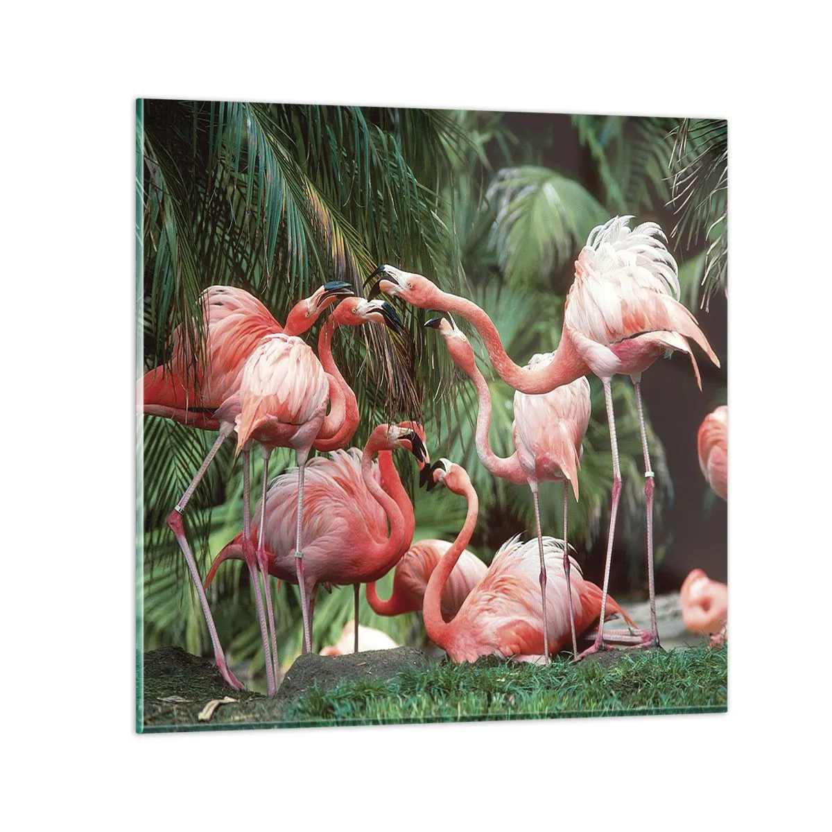 Billede på glas - Sladder om eftermiddagen - 70x70 cm