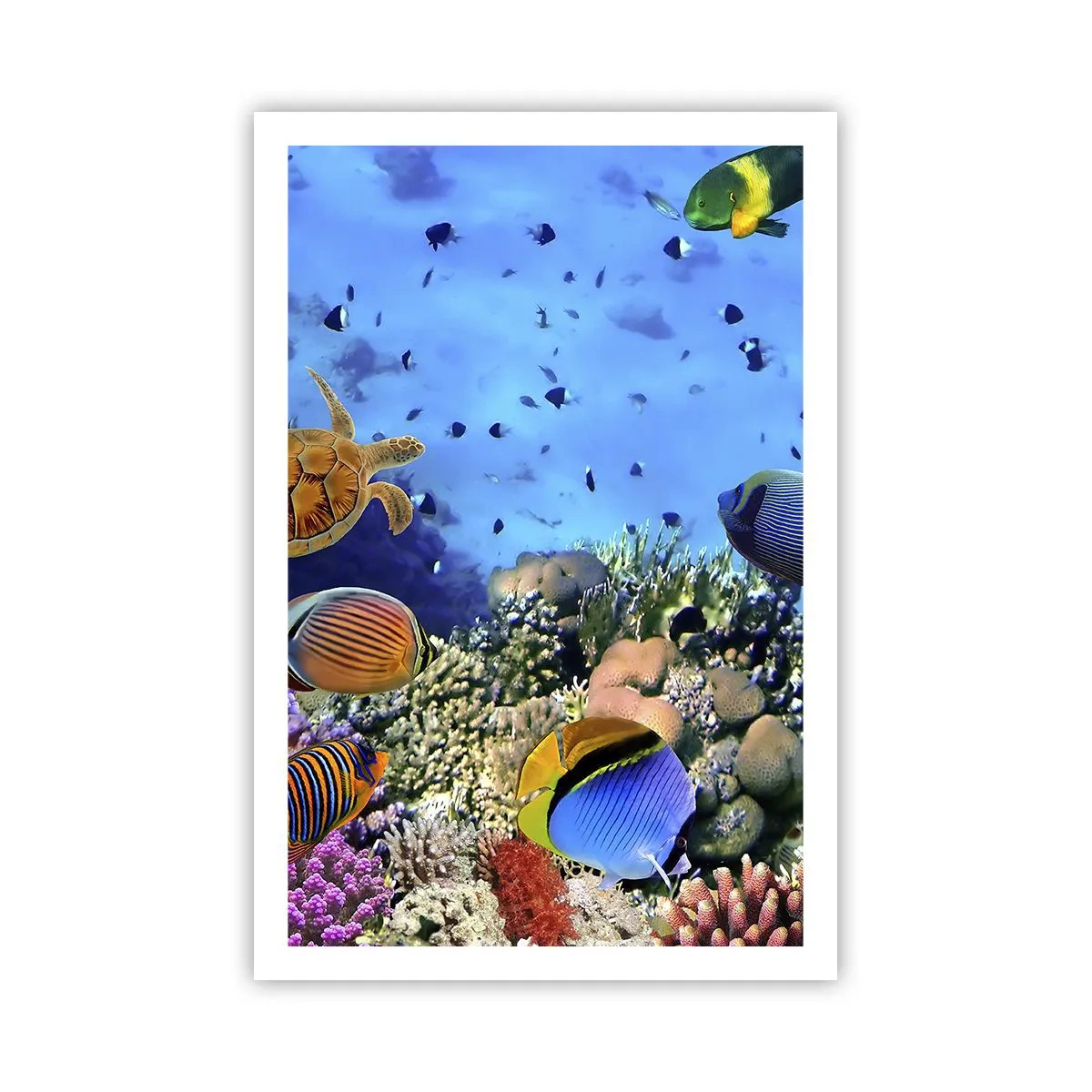 Plakat - Og hvad ved vi om livet... - 61x91 cm