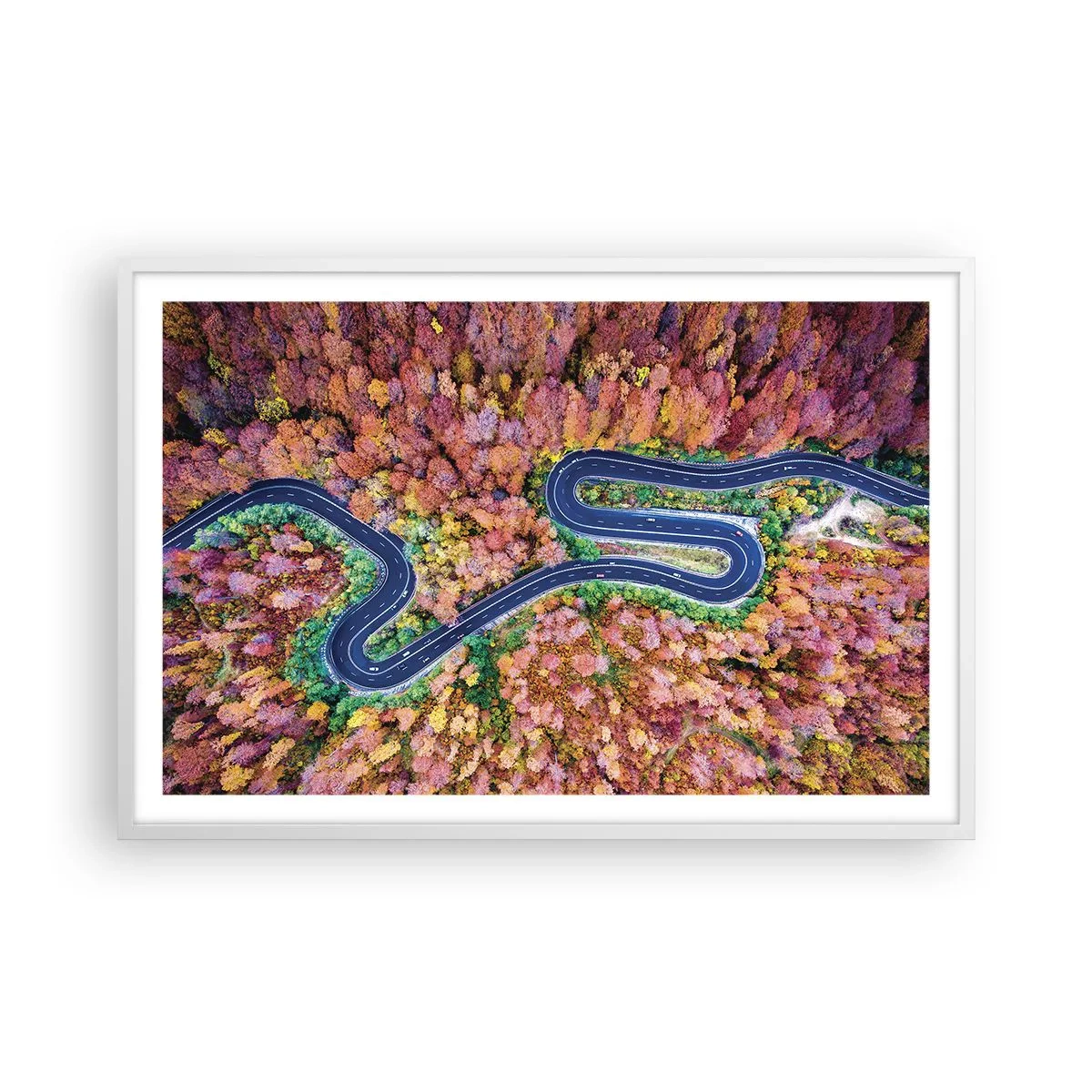 Plakat i hvid ramme - En snoet vej gennem skoven - 91x61 cm