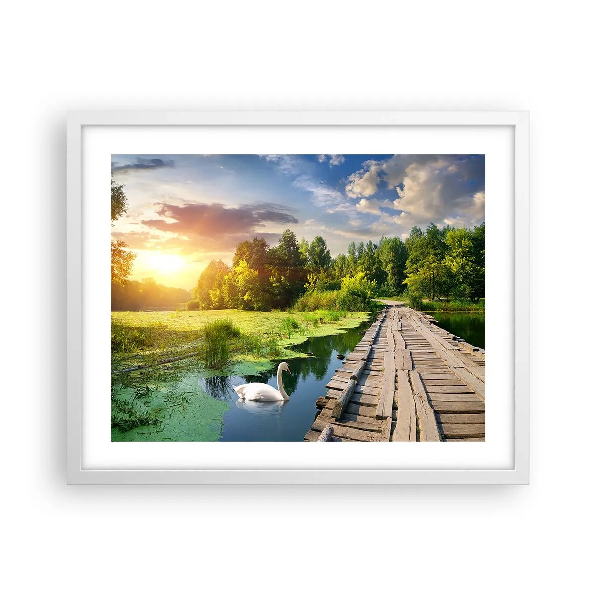 Plakat i hvid ramme - Sommer, sommer overalt - 50x40 cm