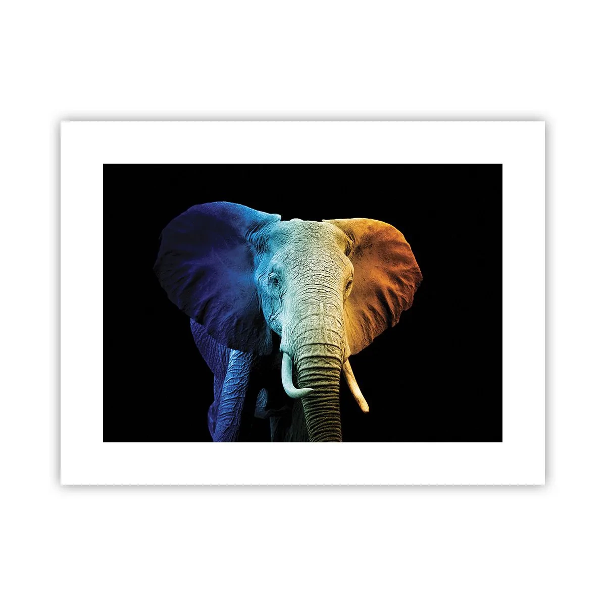 Plakat - Excentrisk, ikke underlig - 40x30 cm