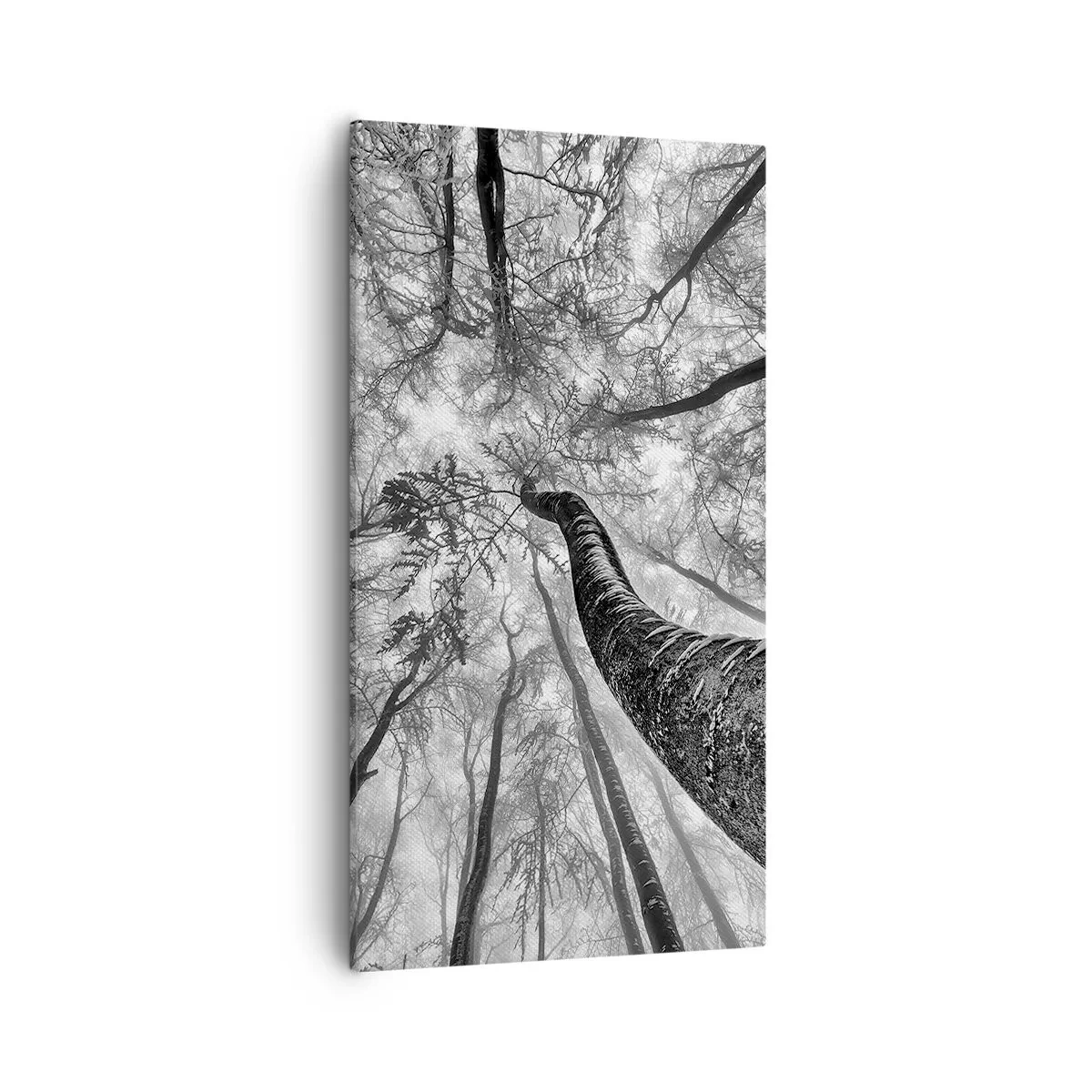 Lærredstryk - Billede på lærred - Kapløb mod lyset - 55x100 cm