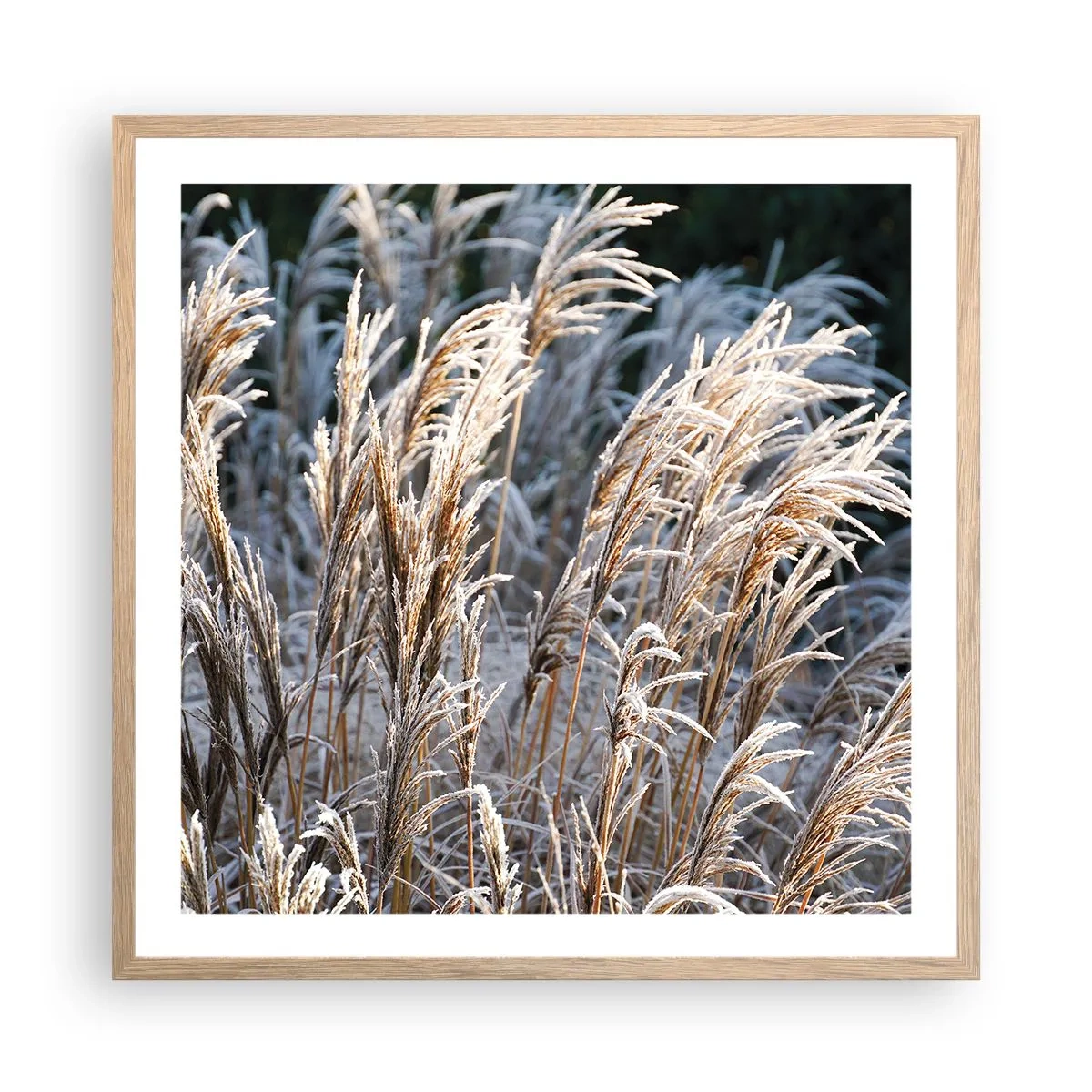 Plakat i ramme af lyst egetræ - Pyntet med frost - 60x60 cm