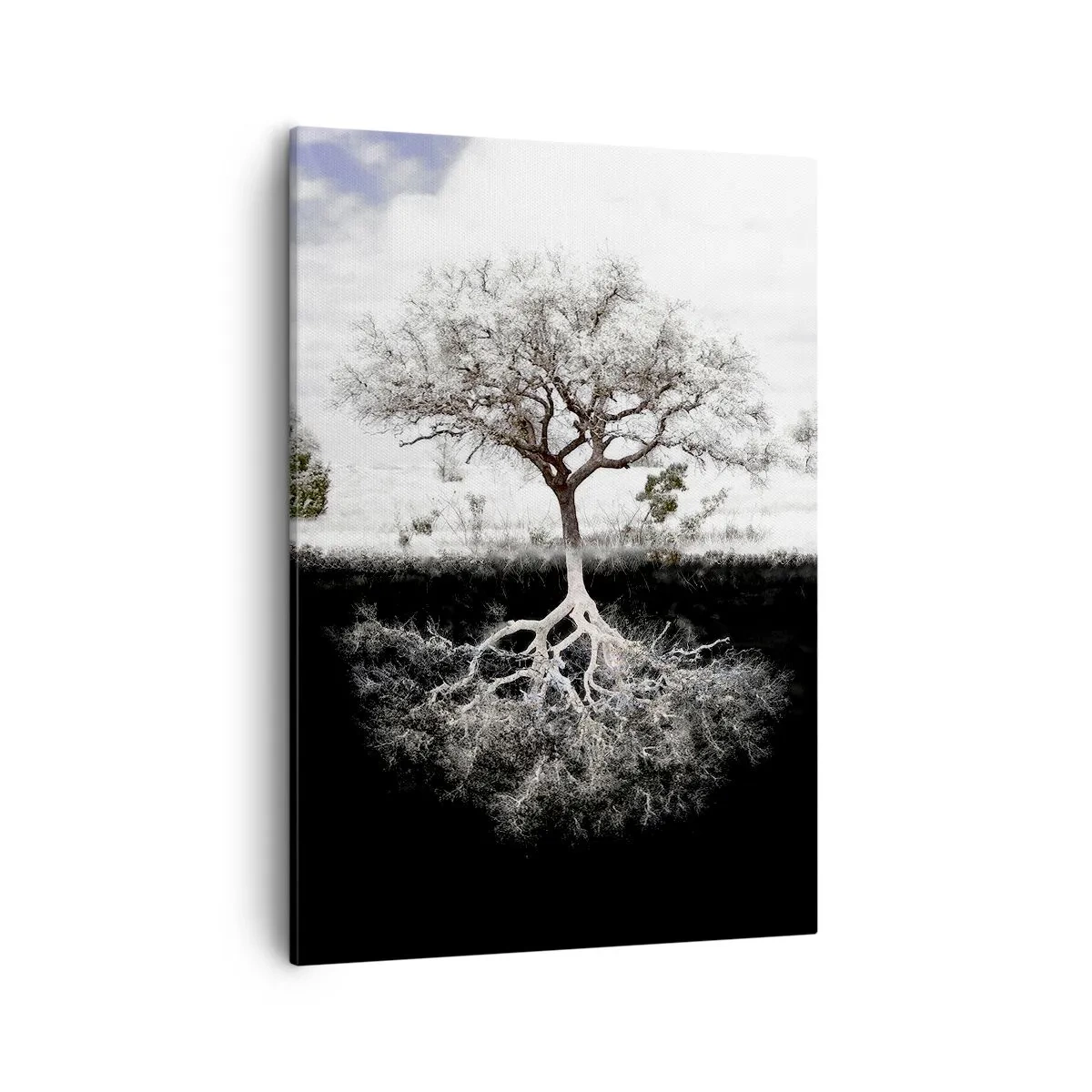 Lærredstryk - Billede på lærred - Opdagelse af verdens natur - 50x70 cm