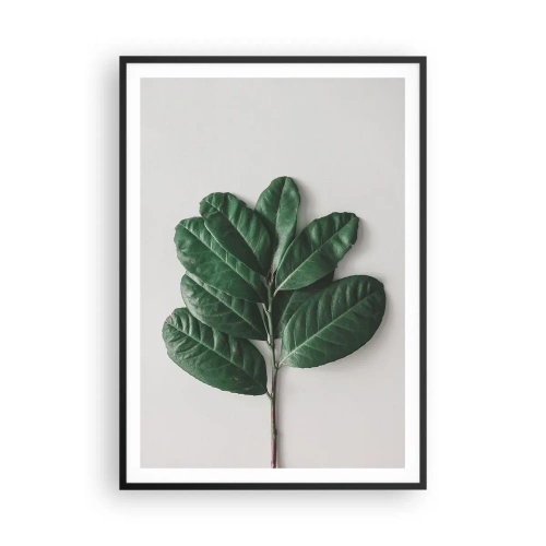 Plakat i sort ramme - Tegning af selve naturen - 70x100 cm