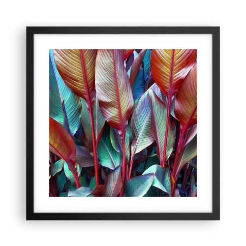 Plakat i sort ramme - Farverigt krat - 40x40 cm