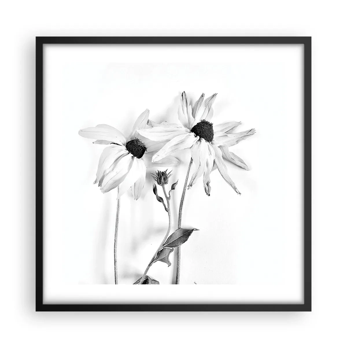 Plakat i sort ramme - Ingen ønsker at være alene - 50x50 cm