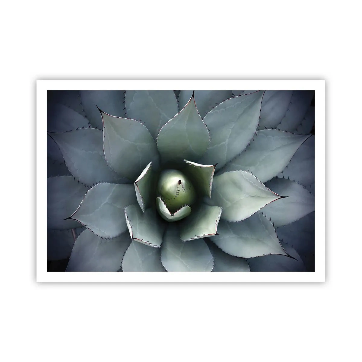 Plakat - Lokkemad og advarsler - 100x70 cm