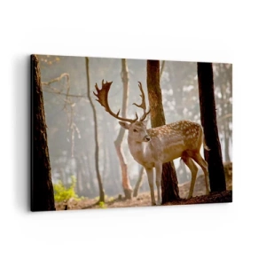 Lærredstryk - Billede på lærred - Ungdommens lys - 100x70 cm