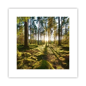 Plakat - ...Bag de syv skove - 30x30 cm