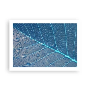 Plakat - Livet i det blå - 70x50 cm