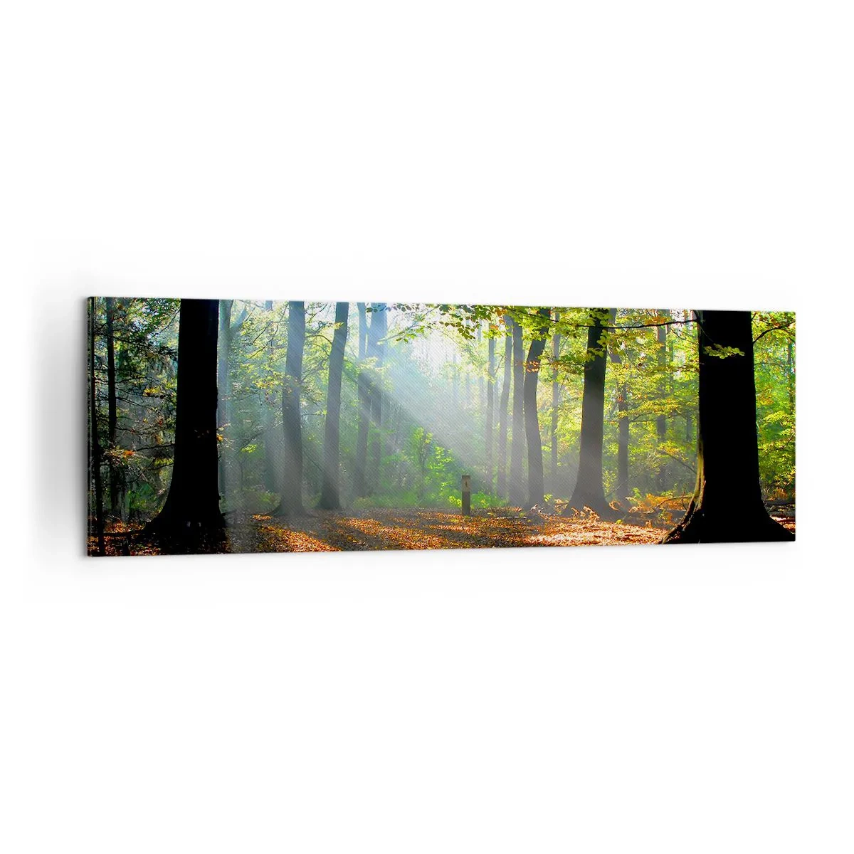Lærredstryk - Billede på lærred - Lys og skygger - 160x50 cm