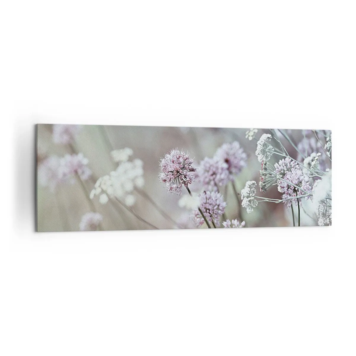 Lærredstryk - Billede på lærred - Søde filigranurter - 160x50 cm