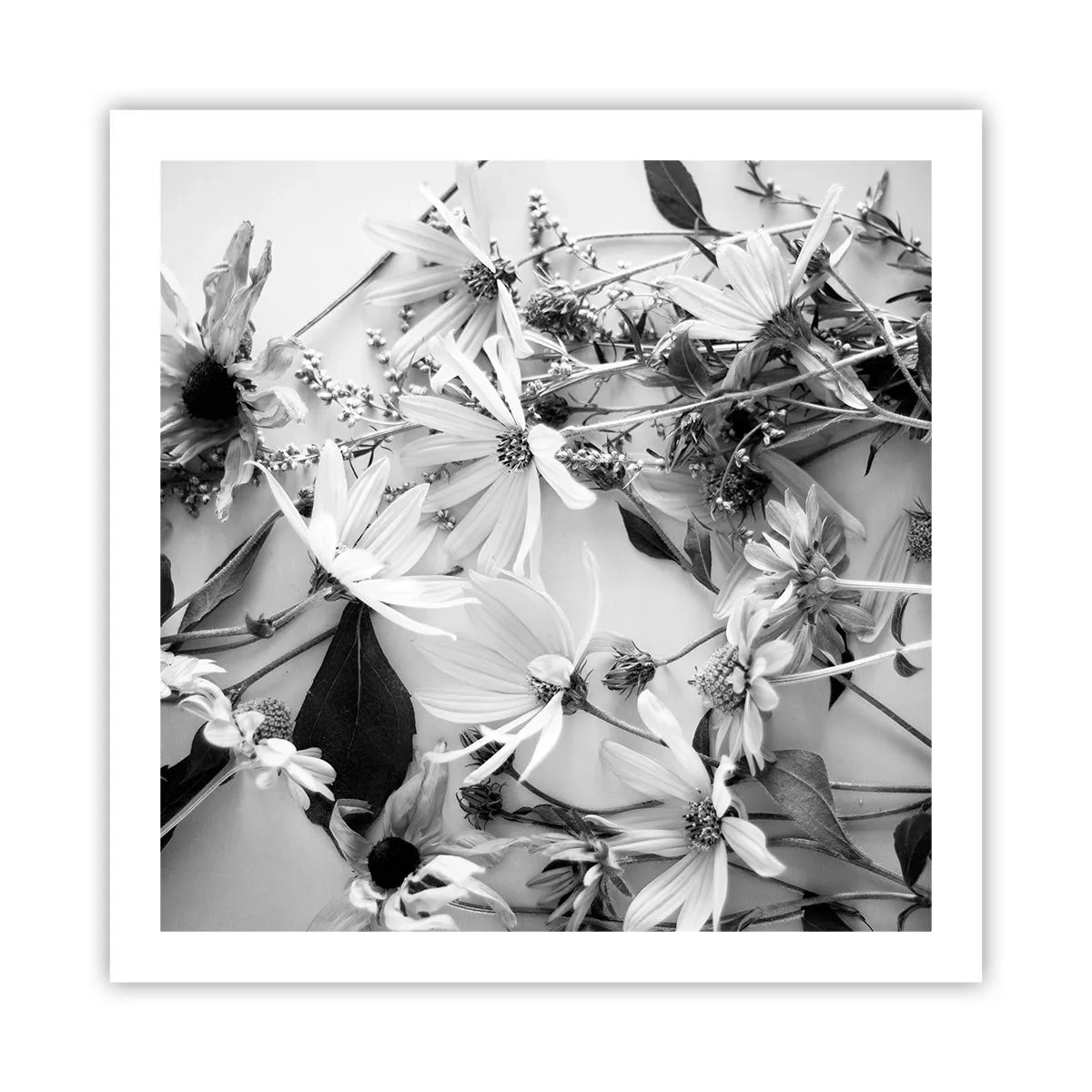 Plakat - Blomster uden buket - 60x60 cm