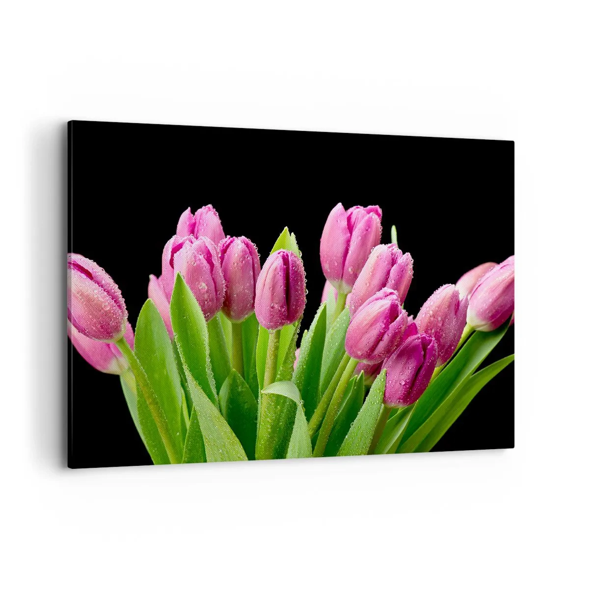Lærredstryk - Billede på lærred - Forårets lilla glæde - 100x70 cm