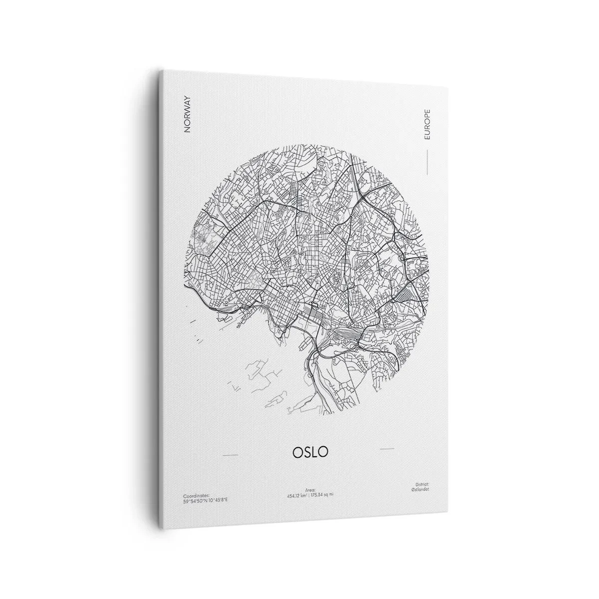 Lærredstryk - Billede på lærred - Anatomi af Oslo - 50x70 cm