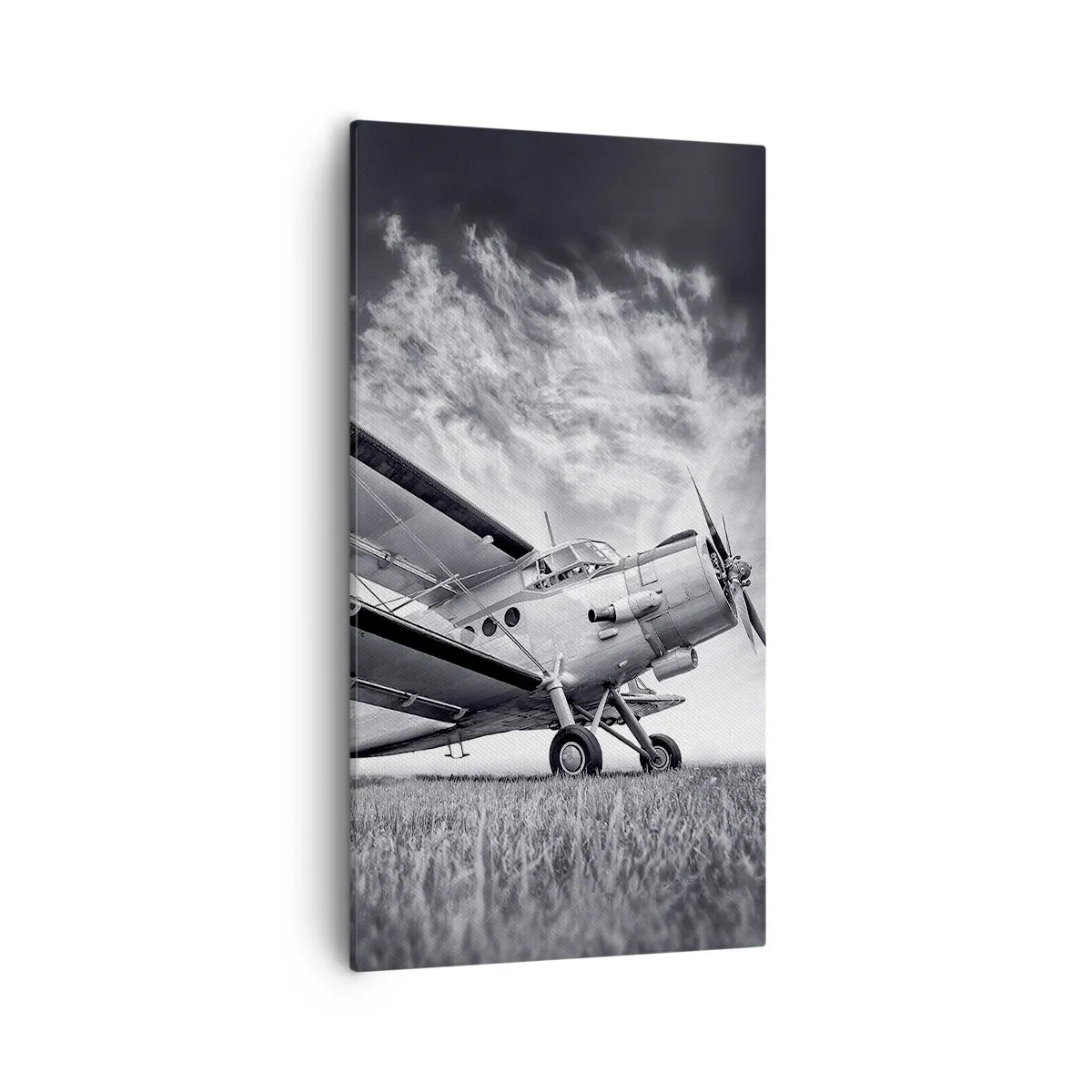 Lærredstryk - Billede på lærred - Den bevingede vandringsmand - 55x100 cm