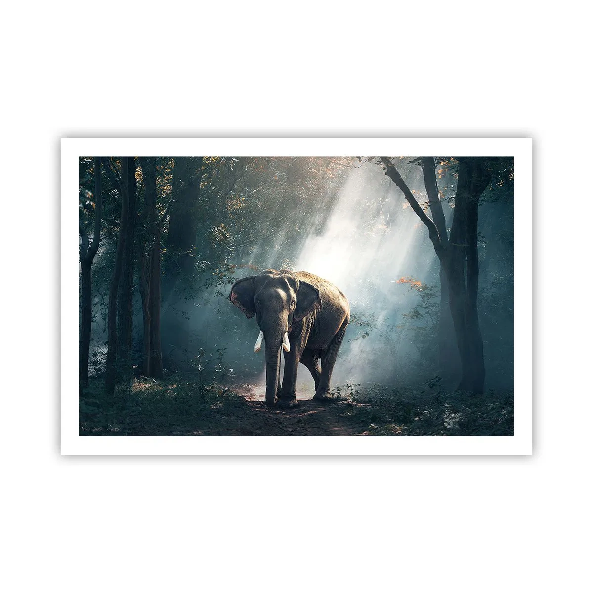 Plakat - En fredelig gåtur - 91x61 cm