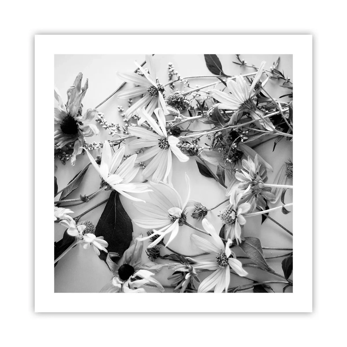 Plakat - Blomster uden buket - 50x50 cm