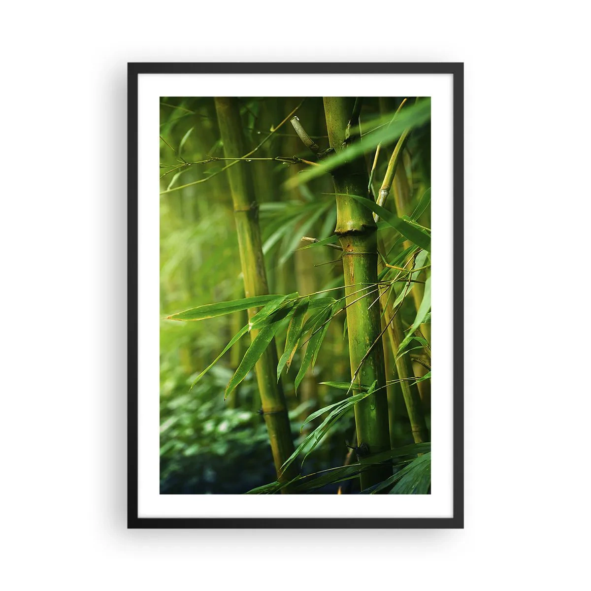 Plakat i sort ramme - En bambuslund i grønne nuancer - 50x70cm - Lær selve det grønne at kende - Moderne vægdekoration til stue og soveværelse ARTTOR