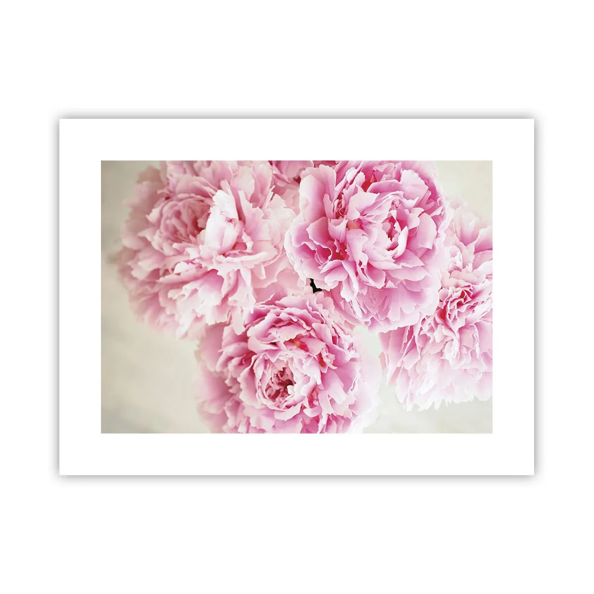 Plakat - I lyserød glamour - 40x30 cm