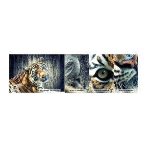 Prøve Fototapet Selvklæbende Deluxe Sticker - Portræt i lysstrømme - Dyr, Tiger, Afrika - 100x30 cm