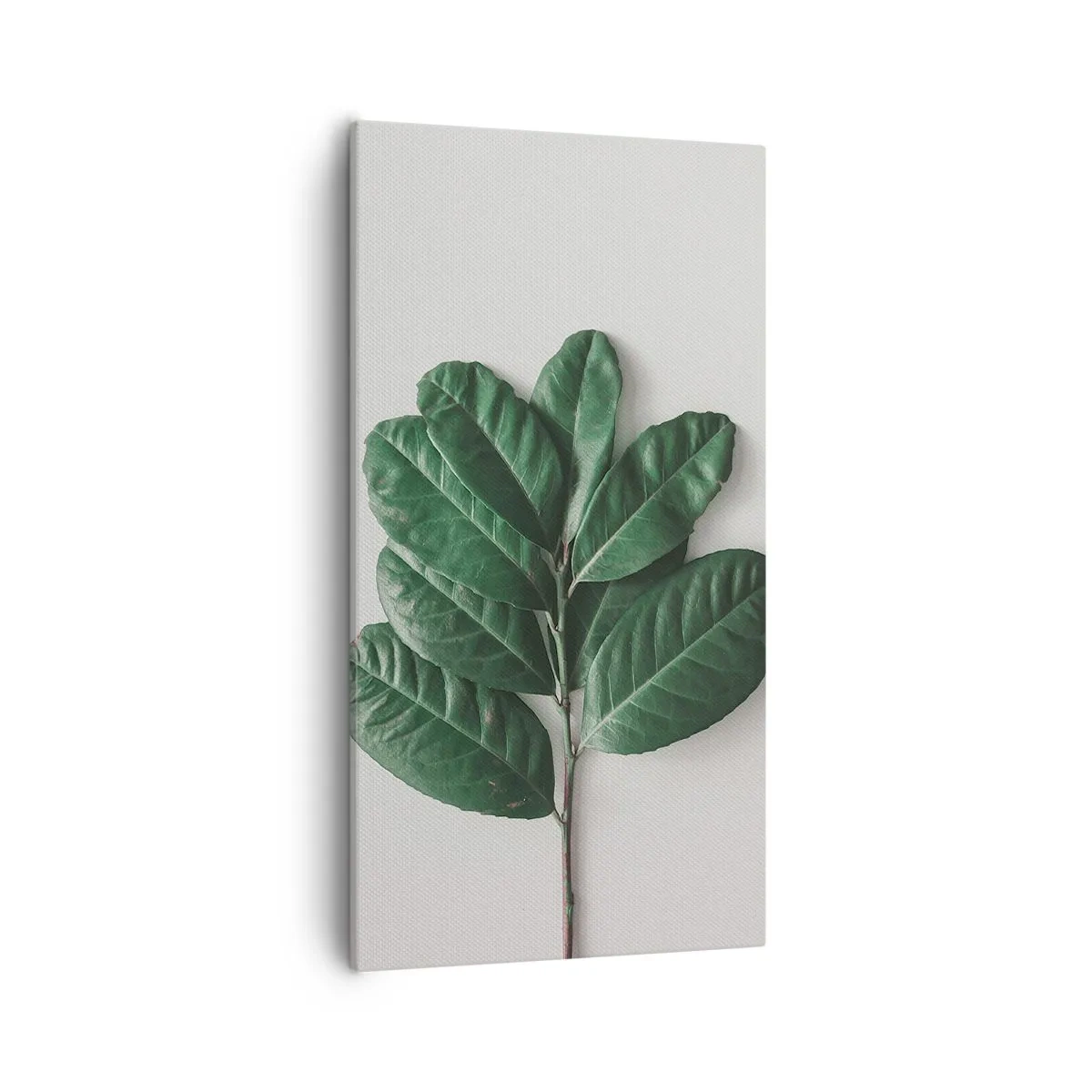 Lærredstryk - Billede på lærred - Tegning af selve naturen - 55x100 cm