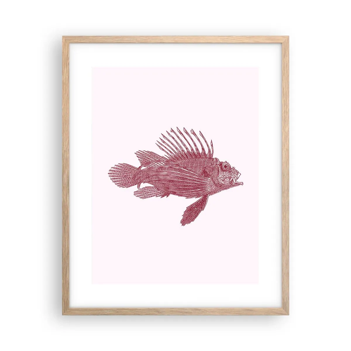Plakat i ramme af lyst egetræ - En beboer i eksotiske farvande - 40x50 cm
