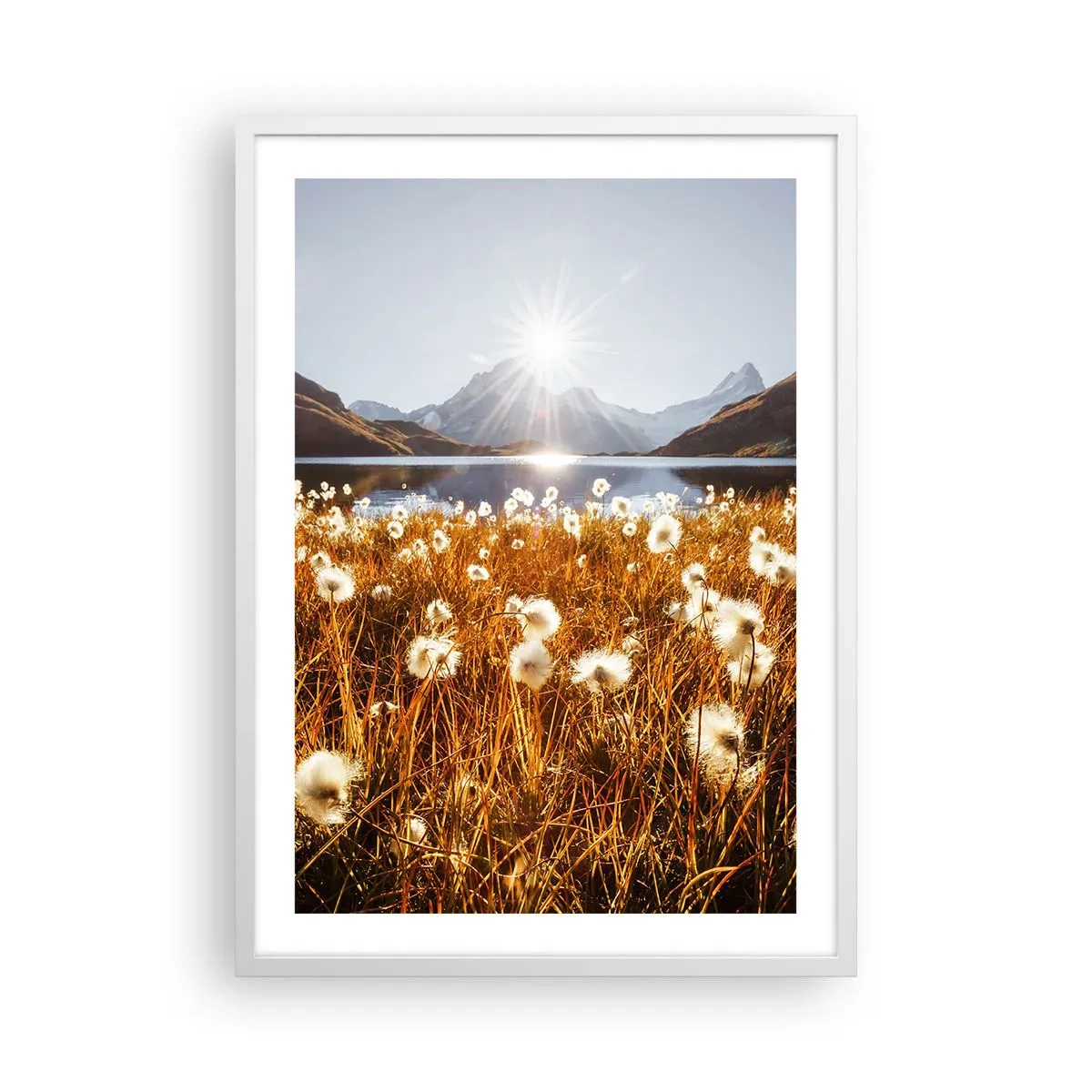 Plakat i hvid ramme - Hårdhed af sten, blødhed af græs - 50x70 cm